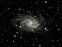 M33_Cropped.jpg