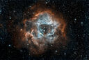 NGC_2237_Bicolor.jpg