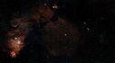 NGC_2264_-_IC_2169.jpg